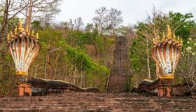 Pakse Snake Heads, Laos